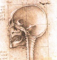 A view of a skull, drawn by Leonardo da Vinci. Source [url=http://commons.wikimedia.org/wiki/File:View_of_a_Skull_III.jpg]Wikimedia Commons[/url]